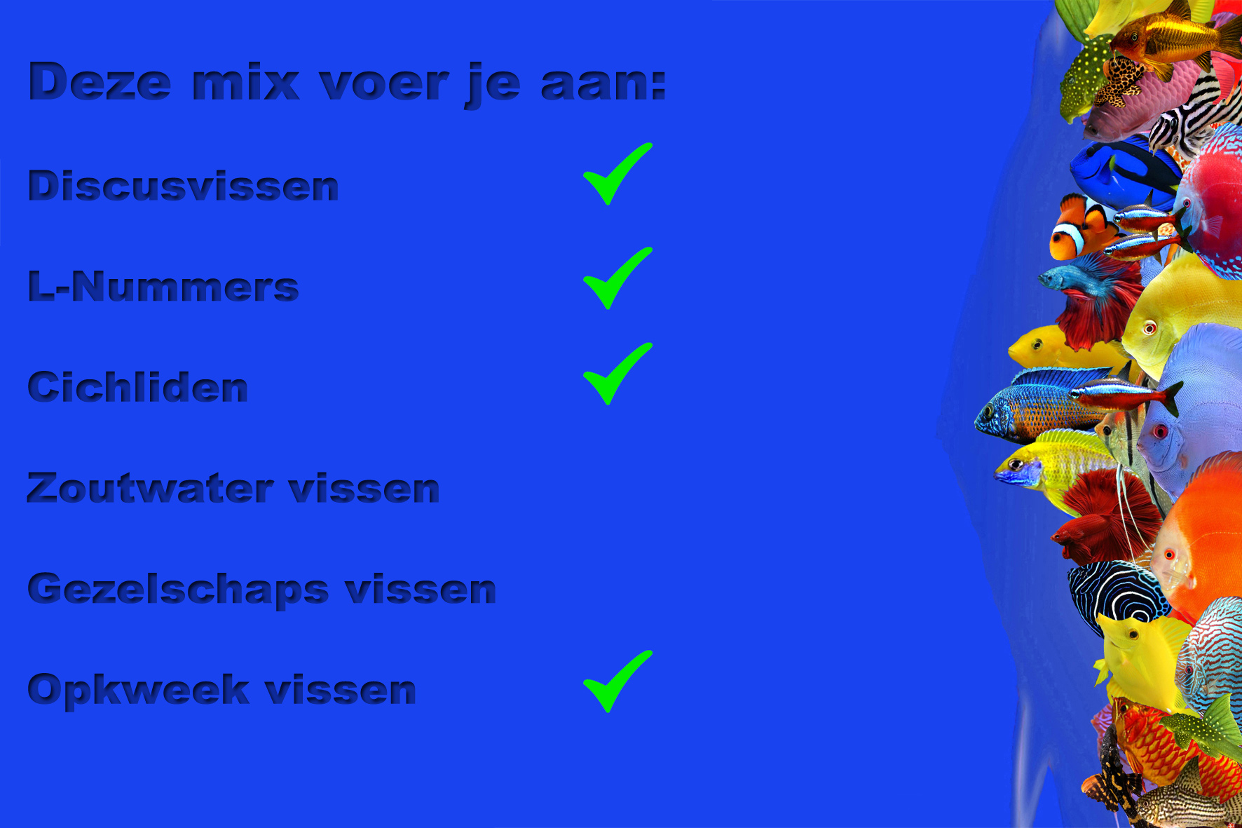 welke vissen Paprika2